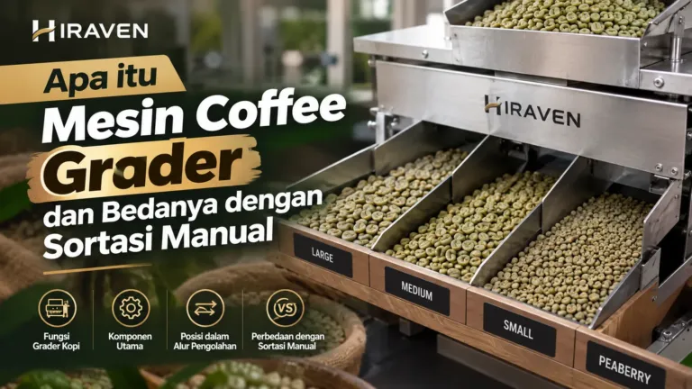Apa Itu Mesin Coffee Grader Dan Bedanya Dengan Sortasi Manual