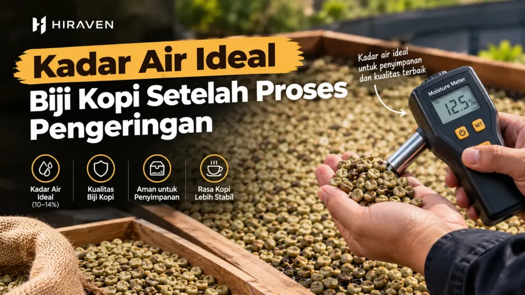 Kadar Air Ideal Biji Kopi Setelah Proses Pengeringan