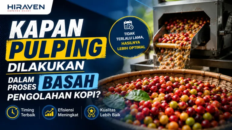 Kapan Pulping Dilakukan Dalam Proses Basah Pengolahan Kopi